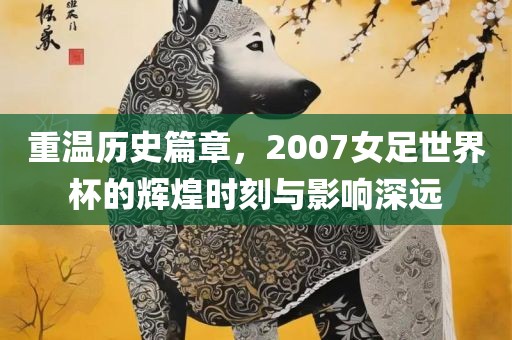 重温历史篇章，2007女足世界杯的辉煌时刻与影响深远广西贺州市华昌新材料有限公司