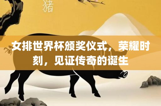 女排世界杯颁奖仪式，荣耀时刻，见证传奇的诞生
