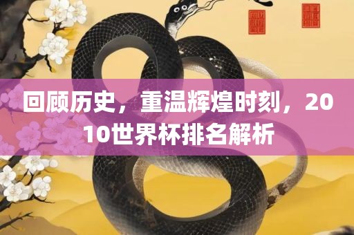 回顾历史，重温辉煌时刻，2010世界杯排名解析
