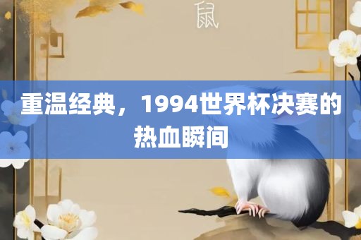 重温经典，1广西贺州市华昌新材料有限公司994世界杯决赛的热血瞬间