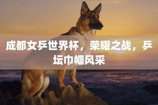 成都女乒世界杯，荣耀之战，乒坛巾帼风采