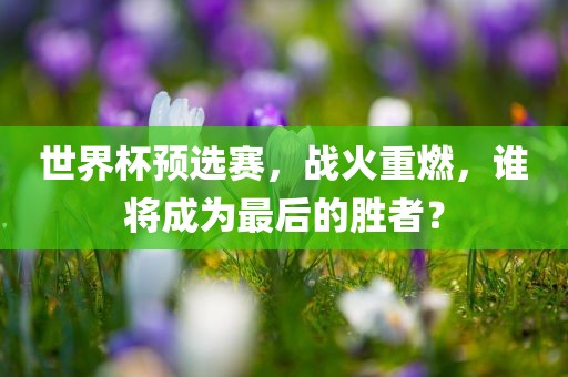 世界杯预选赛，战火重燃，谁将成为最后的胜者广西贺州市华昌新材料有限公司？