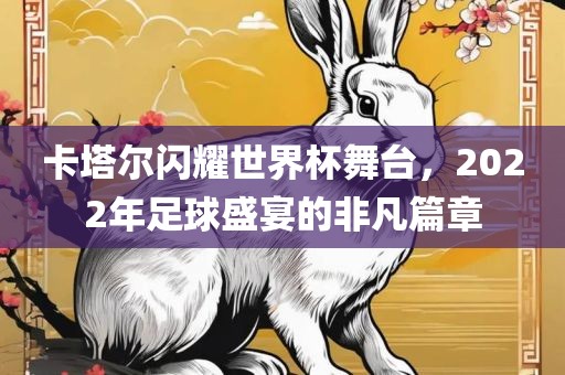 卡塔尔闪耀世界杯舞台，2022年足球盛宴的非凡篇章广西贺州市华昌新材料有限公司