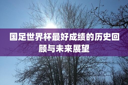 国足世界杯最好成绩的历史回顾与未来展望广西贺州市华昌新材料有限公司