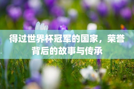 得过世界杯冠军的国家，荣誉背后的故事与传承