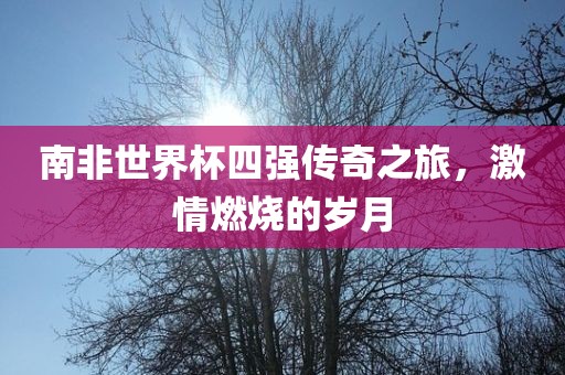 南非世界杯四强传奇之旅，激情燃烧的岁月广西贺州市华昌新材料有限公司