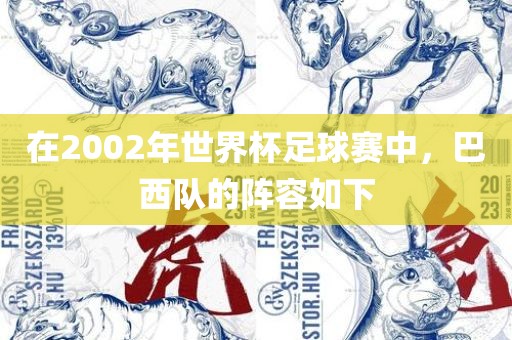 在2002年世界杯足球赛中，巴西队的阵容广西贺州市华昌新材料有限公司如下