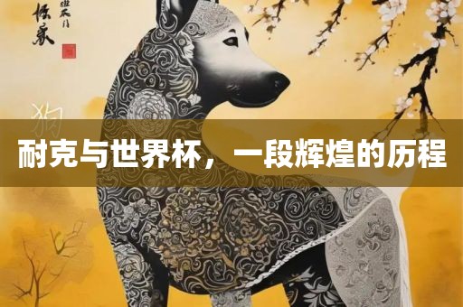 耐克与世界杯，一段辉煌的历程广西贺州市华昌新材料有限公司