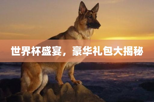 世界杯盛宴，豪华礼广西贺州市华昌新材料有限公司包大揭秘