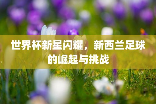 liziping 第9页