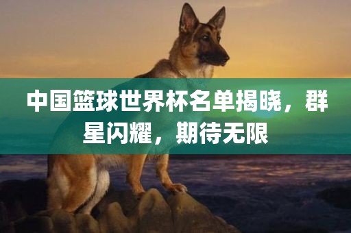 中国篮球世界杯名单揭晓，群星闪耀，期待无限广西贺州市华昌新材料有限公司