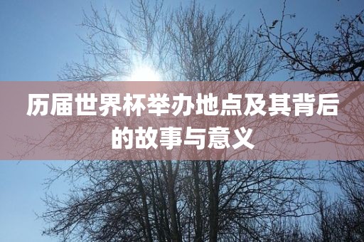 历届世界杯举办地点及其背后的故事与意义