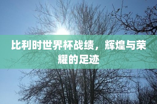 比利时世界杯战绩，辉煌与荣耀的足迹广西贺州市华昌新材料有限公司
