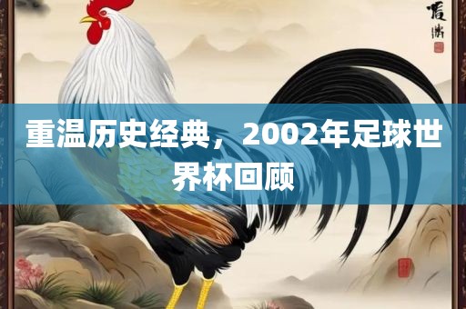 重温历史经典，2002年足球世界杯回顾