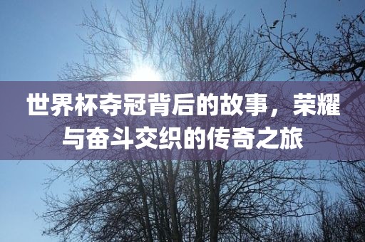 世界杯夺冠背后的故事，荣耀与奋斗交织的传奇之旅