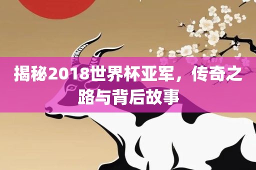 揭秘2018世界杯亚军，传奇之路与背后故事广西贺州市华昌新材料有限公司