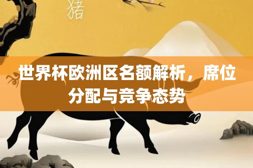 世界杯欧洲区名额解析，席位分配与竞争态势广西贺州市华昌新材料有限公司