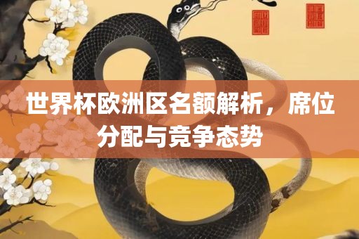 世界杯欧洲区名额解析，席位分配与竞争态势广西贺州市华昌新材料有限公司