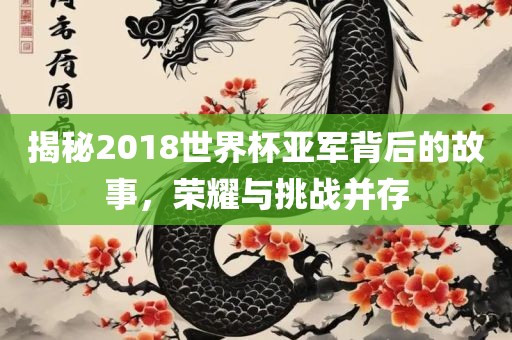 揭秘2018世界杯亚军背后的故事，荣耀与挑战并存