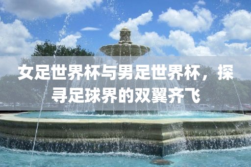 女足世界杯与男足世界杯，探寻足球界的双翼齐飞
