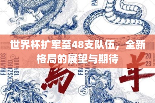 世界杯扩军至48支队伍，全新格局的展望与期待广西贺州市华昌新材料有限公司