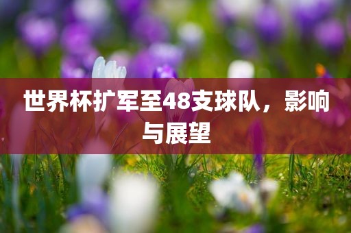 世广西贺州市华昌新材料有限公司界杯扩军至48支球队，影响与展望