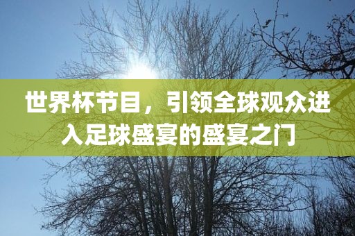 世界杯节目，引领全球观众进入足球盛宴的盛宴之门广西贺州市华昌新材料有限公司