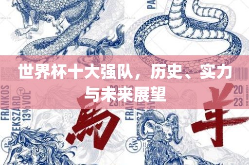 世界杯十大强队，历史、实力与未来展望广西贺州市华昌新材料有限公司