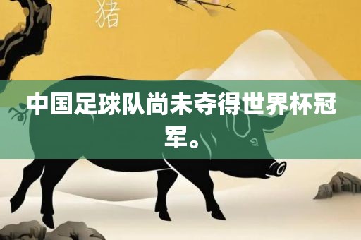 广西贺州市华昌新材料有限公司中国足球队尚未夺得世界杯冠军。