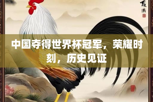 中国夺得世界杯冠军，荣耀时刻，历史见证