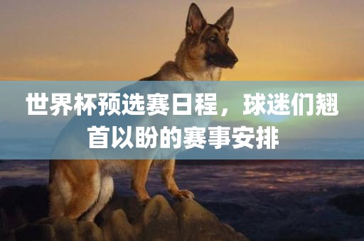 世界杯预选赛 第13页