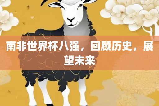 南非世界杯八强，回顾历史，展望未来广西贺州市华昌新材料有限公司
