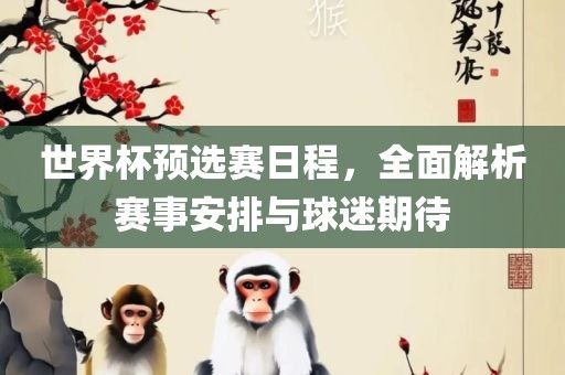 世界杯预选赛日程，全面解析赛事安排与球迷期待广西贺州市华昌新材料有限公司