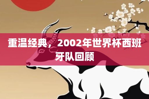 重温经典，2002年世界杯西班牙队回顾广西贺州市华昌新材料有限公司