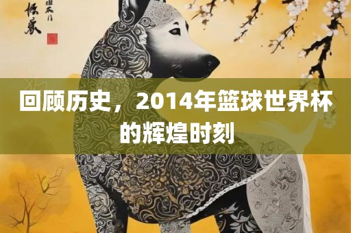 回顾历史，2014年篮球世界杯的辉煌时刻广西贺州市华昌新材料有限公司