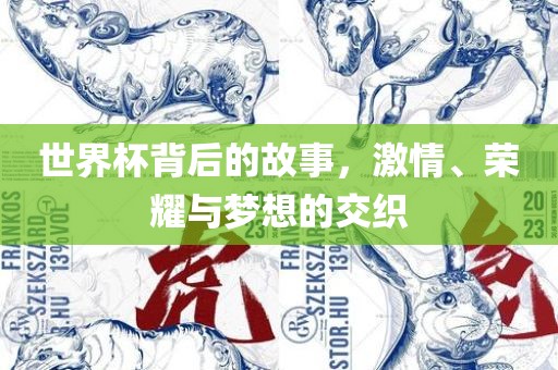 世界杯背后的故事，激情、荣耀与梦想的交织广西贺州市华昌新材料有限公司