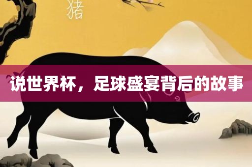 说世界杯，足球盛宴背后的故事广西贺州市华昌新材料有限公司