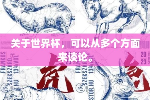 关于世界杯，可广西贺州市华昌新材料有限公司以从多个方面来谈论。