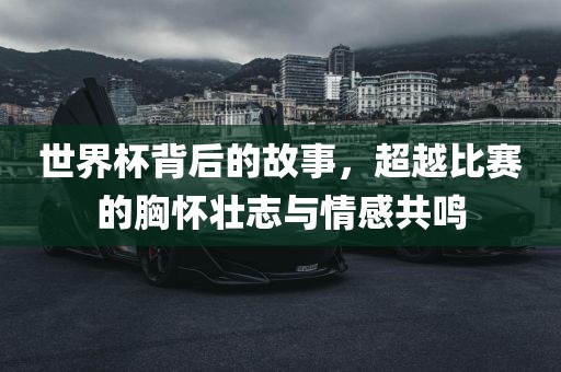 世界杯背后的故事，超越比赛的胸怀壮志与情感共鸣广西贺州市华昌新材料有限公司