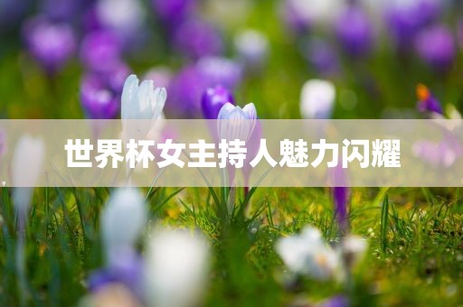 世界杯女主持人魅力闪耀广西贺州市华昌新材料有限公司