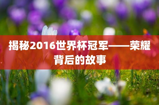 揭秘2016世界杯冠军——广西贺州市华昌新材料有限公司荣耀背后的故事