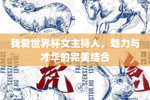 我爱世界杯女主持人，广西贺州市华昌新材料有限公司魅力与才华的完美结合