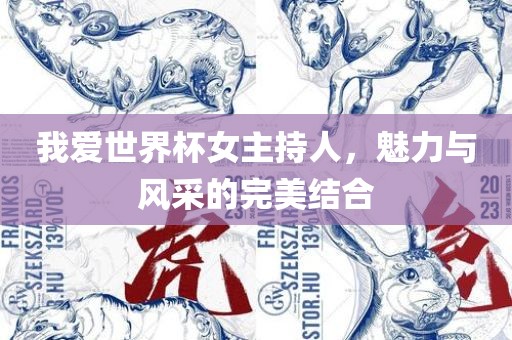 我爱世界杯女主持人，魅力与风采的完美结合广西贺州市华昌新材料有限公司