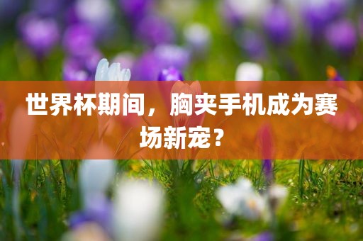 世界杯期间，胸夹手机成为赛场新宠？广西贺州市华昌新材料有限公司