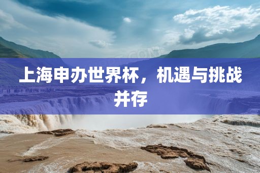 上海申办世界杯，机遇与挑战并存