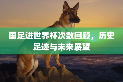 国足进世界杯次数回顾，历史足迹与未来展望广西贺州市华昌新材料有限公司