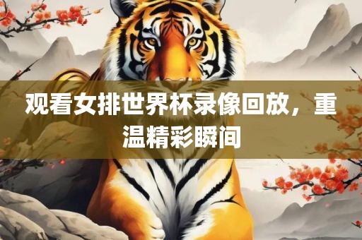 观看女排世界杯录像回放，重温精彩瞬间