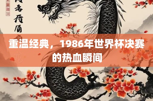 重温经典，1986年世界杯决赛的热血瞬间广西贺州市华昌新材料有限公司
