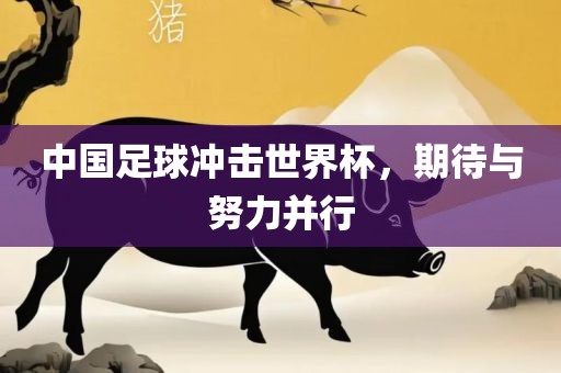 中国足球冲击世界杯，期待与努力并行广西贺州市华昌新材料有限公司