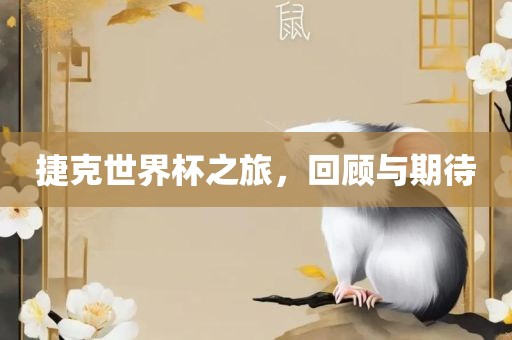 捷克世界杯之旅，回顾与期待广西贺州市华昌新材料有限公司